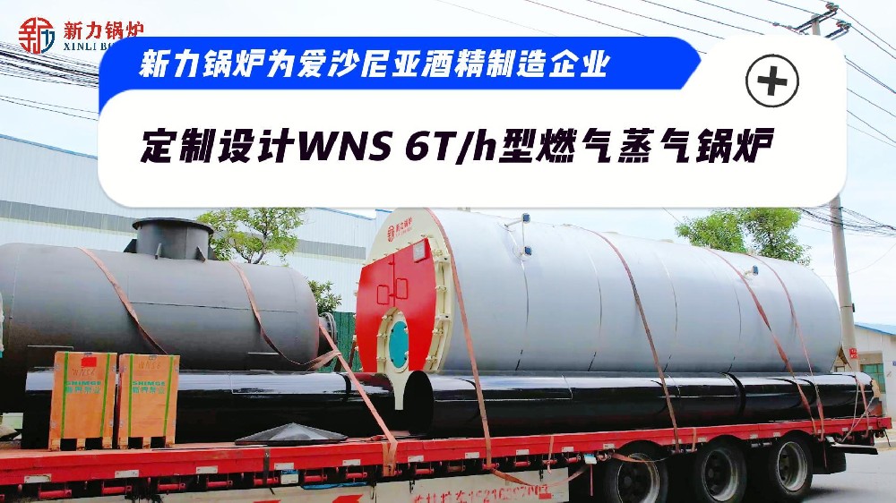 新力鍋爐為愛沙尼亞酒精制造企業(yè) 定制設計WNS 6T/h型燃氣蒸氣鍋爐